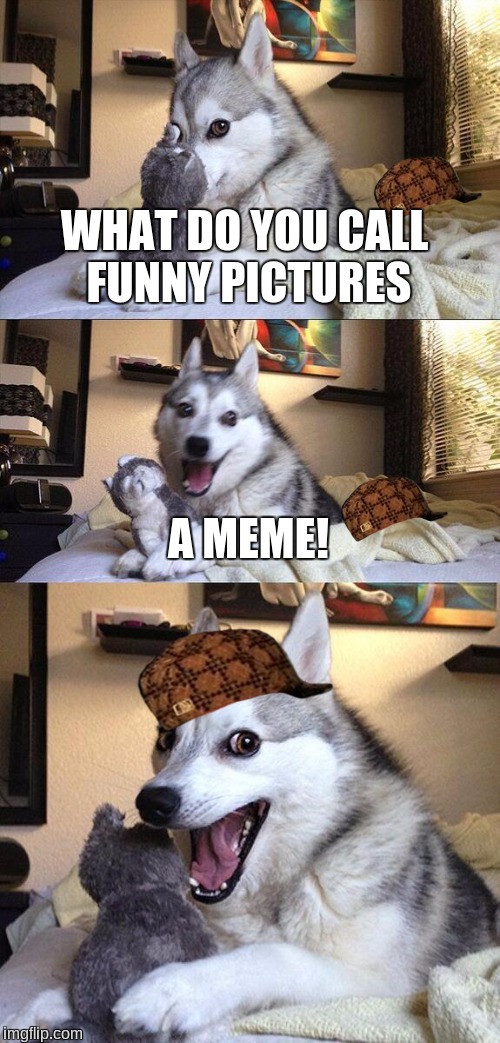 Bad Pun Dog | WHAT DO YOU CALL FUNNY PICTURES; A MEME! | image tagged in memes,bad pun dog,scumbag | made w/ Imgflip meme maker