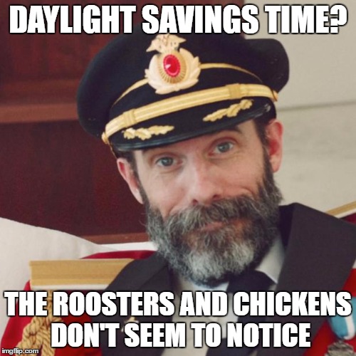 Captain Obvious | DAYLIGHT SAVINGS TIME? THE ROOSTERS AND CHICKENS DON'T SEEM TO NOTICE | image tagged in captain obvious | made w/ Imgflip meme maker