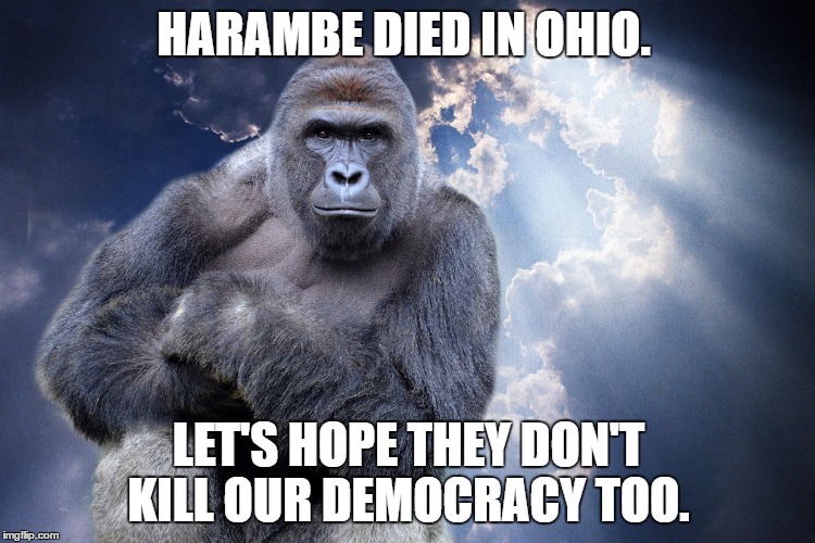 HARAMBE DIED IN OHIO. LET'S HOPE THEY DON'T KILL OUR DEMOCRACY TOO. | image tagged in election 2016 | made w/ Imgflip meme maker