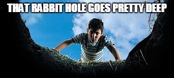 Hole in Ground | THAT RABBIT HOLE GOES PRETTY DEEP | image tagged in hole in ground | made w/ Imgflip meme maker