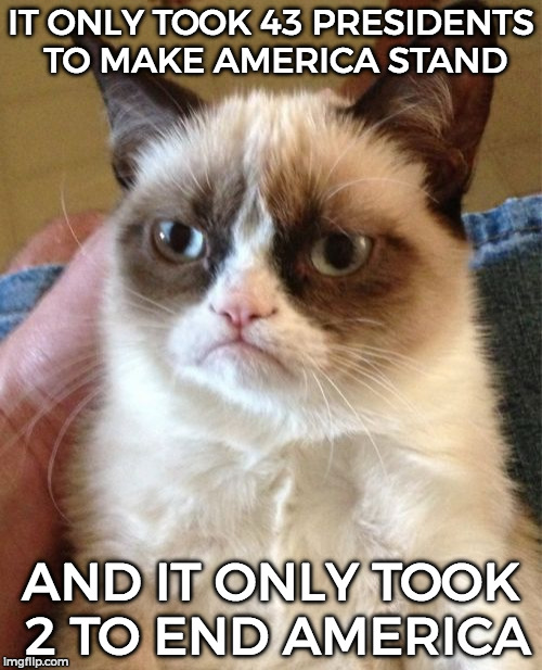 Grumpy Cat | IT ONLY TOOK 43 PRESIDENTS TO MAKE AMERICA STAND; AND IT ONLY TOOK 2 TO END AMERICA | image tagged in memes,grumpy cat | made w/ Imgflip meme maker