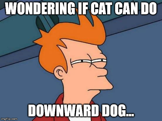 Futurama Fry Meme | WONDERING IF CAT CAN DO DOWNWARD DOG... | image tagged in memes,futurama fry | made w/ Imgflip meme maker