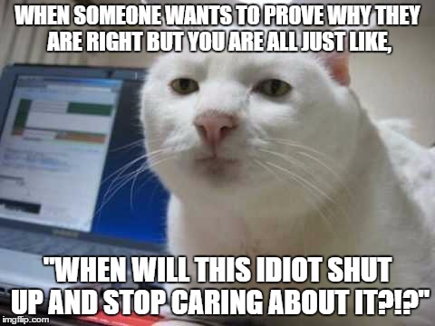 SRS Cat | Template By RMD_GAMES | WHEN SOMEONE WANTS TO PROVE WHY THEY ARE RIGHT BUT YOU ARE ALL JUST LIKE, "WHEN WILL THIS IDIOT SHUT UP AND STOP CARING ABOUT IT?!?" | image tagged in srs cat,memes,funny,cats,seriously,shut up | made w/ Imgflip meme maker