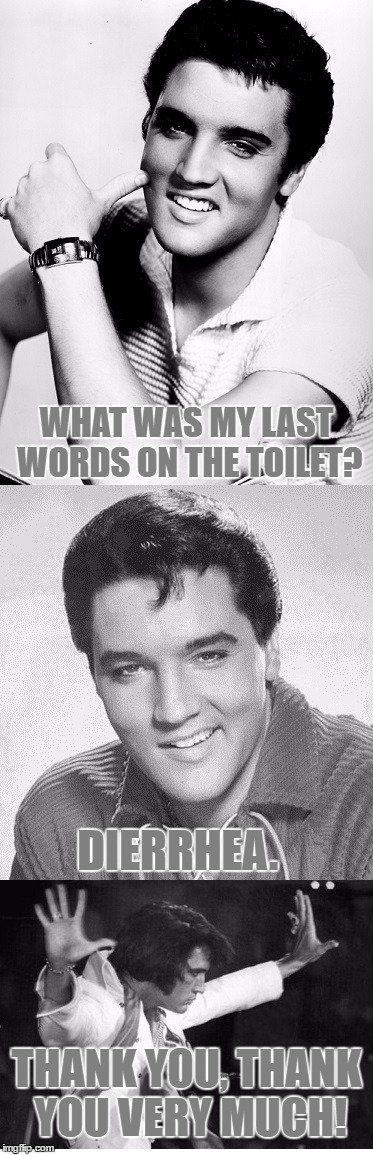 Ban Pun Elvis Presley | Template By hokeewolf | WHAT WAS MY LAST WORDS ON THE TOILET? DIERRHEA. THANK YOU, THANK YOU VERY MUCH! | image tagged in memes,bad pun elvis,bad pun,funny,hokeewolf,i know this is pretty bad | made w/ Imgflip meme maker