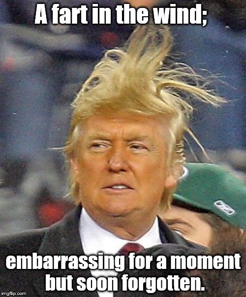 Donald Trumph hair | A fart in the wind;; embarrassing for a moment but soon forgotten. | image tagged in donald trumph hair | made w/ Imgflip meme maker