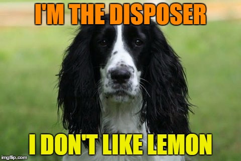 I'M THE DISPOSER I DON'T LIKE LEMON | made w/ Imgflip meme maker