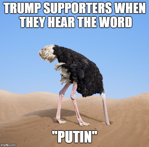 Ostrich | TRUMP SUPPORTERS WHEN THEY HEAR THE WORD; "PUTIN" | image tagged in ostrich | made w/ Imgflip meme maker