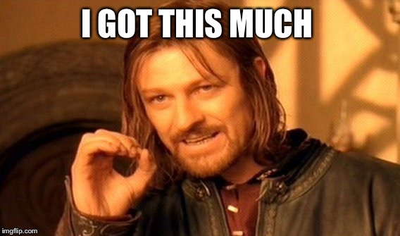 One Does Not Simply Meme | I GOT THIS MUCH | image tagged in memes,one does not simply | made w/ Imgflip meme maker