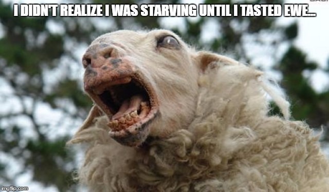 Scared Sheep | I DIDN'T REALIZE I WAS STARVING UNTIL I TASTED EWE... | image tagged in scared sheep | made w/ Imgflip meme maker