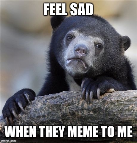 Confession Bear | FEEL SAD; WHEN THEY MEME TO ME | image tagged in memes,confession bear | made w/ Imgflip meme maker