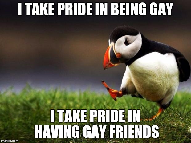Unpopular Opinion Puffin Meme | I TAKE PRIDE IN BEING GAY; I TAKE PRIDE IN HAVING GAY FRIENDS | image tagged in memes,unpopular opinion puffin | made w/ Imgflip meme maker