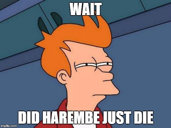 Futurama Fry | WAIT; DID HAREMBE JUST DIE | image tagged in memes,futurama fry | made w/ Imgflip meme maker