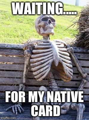 Waiting Skeleton | WAITING..... FOR MY NATIVE CARD | image tagged in memes,waiting skeleton | made w/ Imgflip meme maker