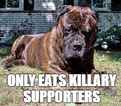 Mastiff | ONLY EATS KILLARY SUPPORTERS | image tagged in political humor | made w/ Imgflip meme maker