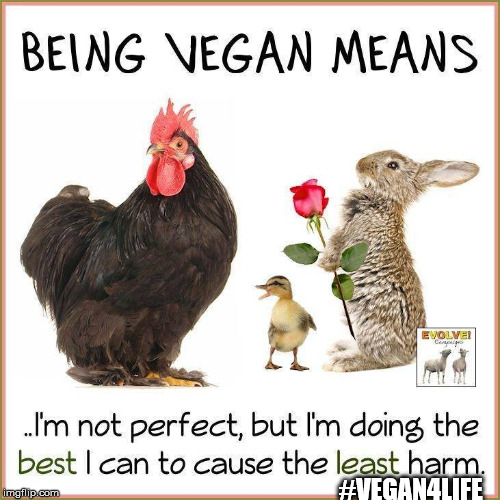 #VEGAN4LIFE | made w/ Imgflip meme maker