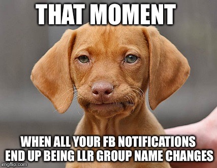 Disappointed Puppy | THAT MOMENT; WHEN ALL YOUR FB NOTIFICATIONS END UP BEING LLR GROUP NAME CHANGES | image tagged in disappointed puppy | made w/ Imgflip meme maker