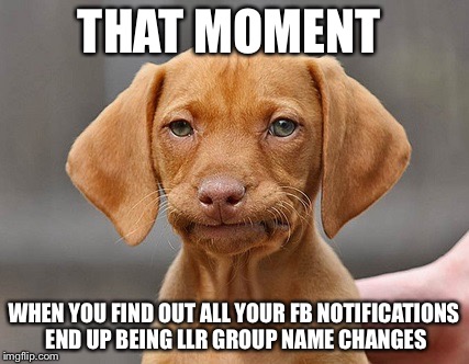 Disappointed Puppy | THAT MOMENT; WHEN YOU FIND OUT ALL YOUR FB NOTIFICATIONS END UP BEING LLR GROUP NAME CHANGES | image tagged in disappointed puppy | made w/ Imgflip meme maker