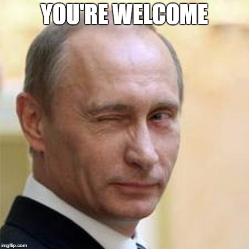 Putin Wink | YOU'RE WELCOME | image tagged in putin wink | made w/ Imgflip meme maker