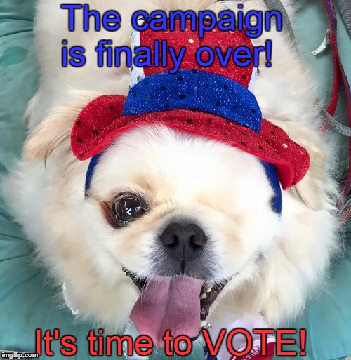 Make America bark again!  | The campaign is finally over! It's time to VOTE! | image tagged in vote,dogs,campaign,2016 election | made w/ Imgflip meme maker