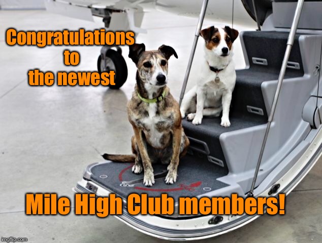 Doggie style | Congratulations to the newest; Mile High Club members! | image tagged in memes,mile high club,doggie style,dogs departing plane | made w/ Imgflip meme maker