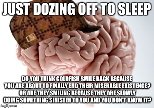 Scumbag Brain | JUST DOZING OFF TO SLEEP; DO YOU THINK GOLDFISH SMILE BACK BECAUSE YOU ARE ABOUT TO FINALLY END THEIR MISERABLE EXISTENCE? OR ARE THEY SMILING BECAUSE THEY ARE SLOWLY DOING SOMETHING SINISTER TO YOU AND YOU DON'T KNOW IT? | image tagged in memes,scumbag brain | made w/ Imgflip meme maker