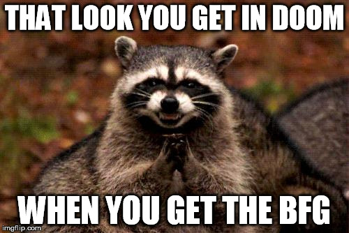 Evil Plotting Raccoon | THAT LOOK YOU GET IN DOOM; WHEN YOU GET THE BFG | image tagged in memes,evil plotting raccoon | made w/ Imgflip meme maker