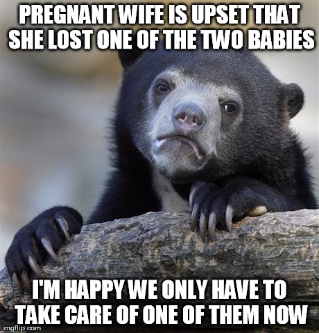 Confession Bear Meme | PREGNANT WIFE IS UPSET THAT SHE LOST ONE OF THE TWO BABIES; I'M HAPPY WE ONLY HAVE TO TAKE CARE OF ONE OF THEM NOW | image tagged in memes,confession bear | made w/ Imgflip meme maker