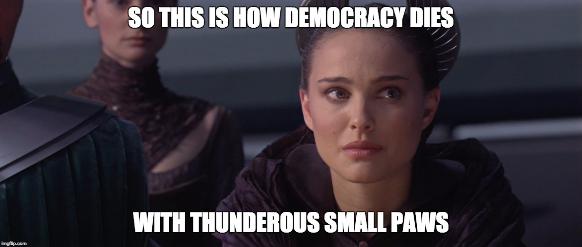 Padme | SO THIS IS HOW DEMOCRACY DIES; WITH THUNDEROUS SMALL PAWS | image tagged in padme | made w/ Imgflip meme maker
