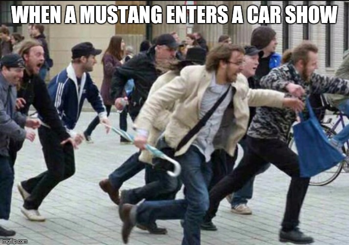 WHEN A MUSTANG ENTERS A CAR SHOW | image tagged in car meme | made w/ Imgflip meme maker