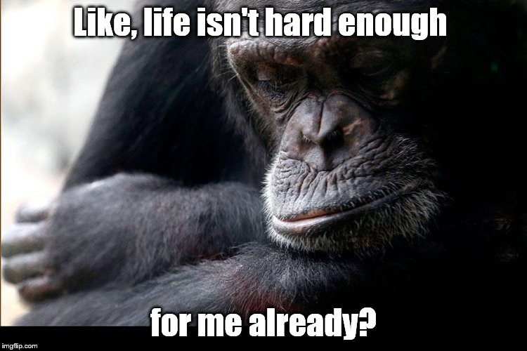 Koko | Like, life isn't hard enough for me already? | image tagged in koko | made w/ Imgflip meme maker