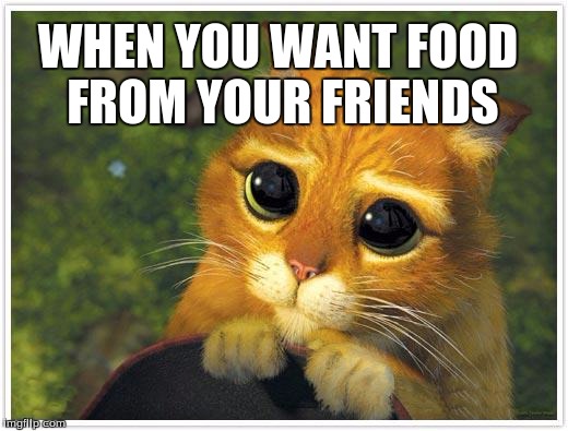 Shrek Cat | WHEN YOU WANT FOOD FROM YOUR FRIENDS | image tagged in memes,shrek cat | made w/ Imgflip meme maker