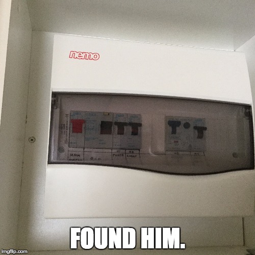Found nemo | FOUND HIM. | image tagged in memes | made w/ Imgflip meme maker