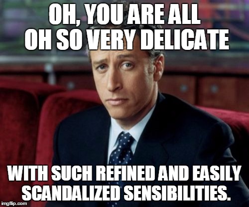 Jon Stewart Skeptical |  OH, YOU ARE ALL OH SO VERY DELICATE; WITH SUCH REFINED AND EASILY SCANDALIZED SENSIBILITIES. | image tagged in memes,jon stewart skeptical | made w/ Imgflip meme maker