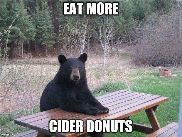 Bear of bad news | EAT MORE; CIDER DONUTS | image tagged in bear of bad news | made w/ Imgflip meme maker