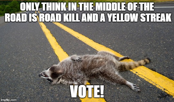Yellow Streak or Road Kill Which are you?  | ONLY THINK IN THE MIDDLE OF THE ROAD IS ROAD KILL AND A YELLOW STREAK; VOTE! | image tagged in vote,election,donald trump,hillary clinton | made w/ Imgflip meme maker