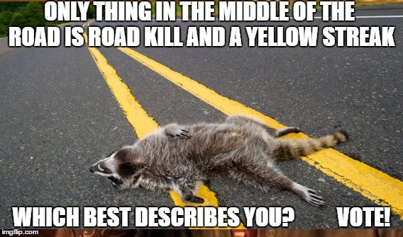 Which best describes you. VOTE! | ONLY THING IN THE MIDDLE OF THE ROAD IS ROAD KILL AND A YELLOW STREAK; WHICH BEST DESCRIBES YOU?        
 VOTE! | image tagged in donald trump,hilary clinton,election,vote | made w/ Imgflip meme maker