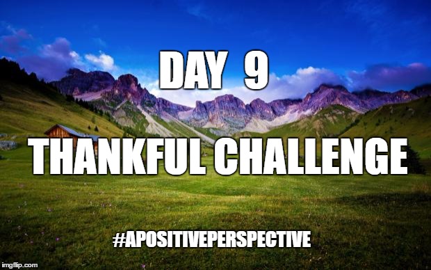 peaceful-landscape | DAY  9; THANKFUL CHALLENGE; #APOSITIVEPERSPECTIVE | image tagged in peaceful-landscape | made w/ Imgflip meme maker
