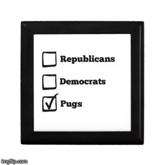 1dqp58.jpg