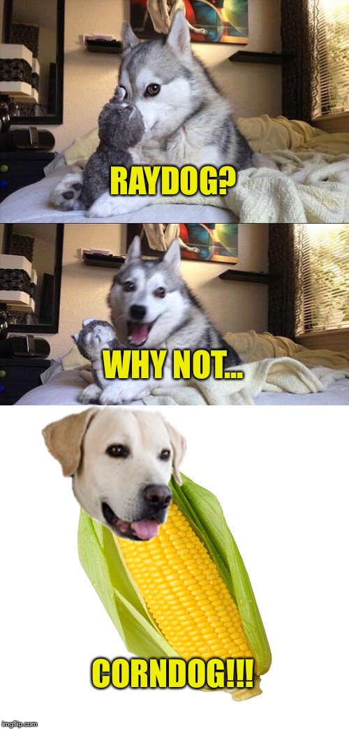 Bad Pun Dog Meme | RAYDOG? WHY NOT... CORNDOG!!! | image tagged in memes,bad pun dog | made w/ Imgflip meme maker