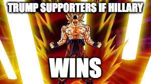 TRUMP SUPPORTERS IF HILLARY; WINS | image tagged in funny memes | made w/ Imgflip meme maker