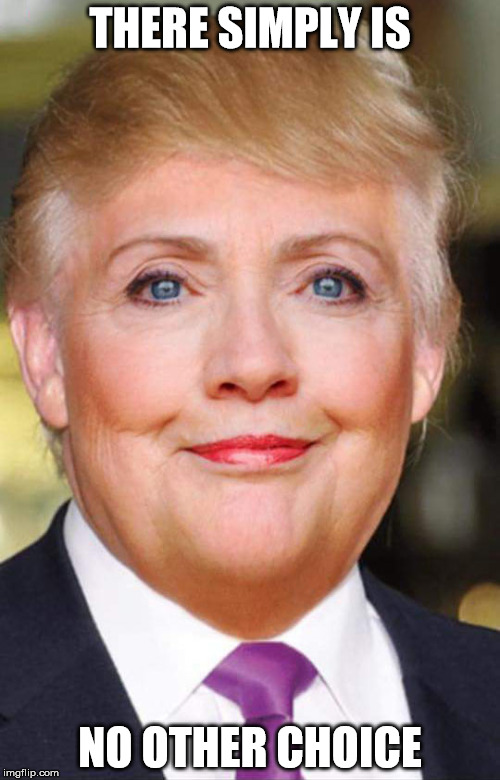 Hillary Trump | THERE SIMPLY IS; NO OTHER CHOICE | image tagged in hillary trump | made w/ Imgflip meme maker