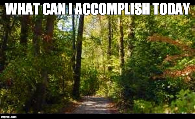 Nature trail | WHAT CAN I ACCOMPLISH TODAY | image tagged in nature trail | made w/ Imgflip meme maker