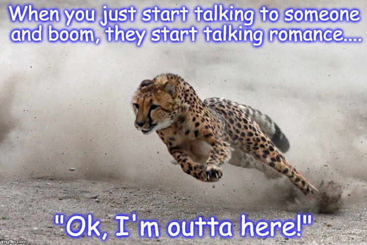 When you just start talking to someone and boom, they start talking romance.... "Ok, I'm outta here!" | image tagged in funny memes,funny animals | made w/ Imgflip meme maker