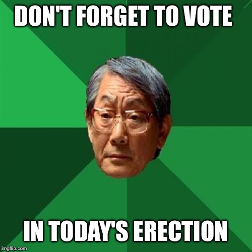 Hey, let's learn to annunciate those Ls.  | DON'T FORGET TO VOTE; IN TODAY'S ERECTION | image tagged in memes,high expectations asian father,election 2016 | made w/ Imgflip meme maker