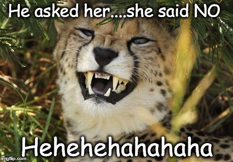 He asked her....she said NO; Hehehehahahaha | image tagged in funny memes,funny animals,funny stuff | made w/ Imgflip meme maker