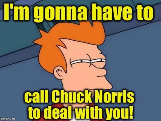 Futurama Fry Meme | I'm gonna have to call Chuck Norris to deal with you! | image tagged in memes,futurama fry | made w/ Imgflip meme maker