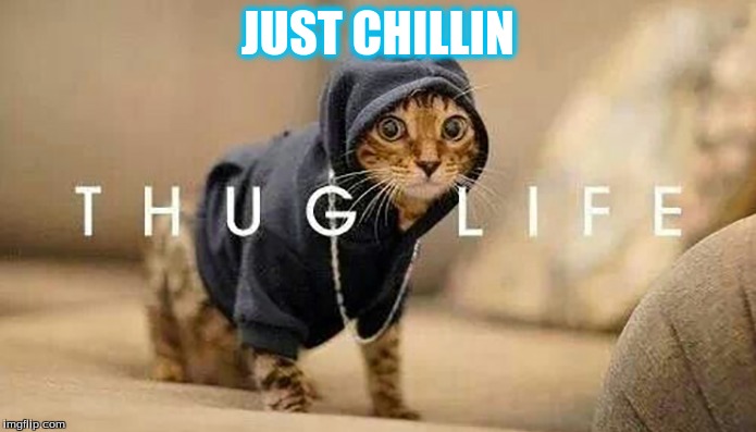 JUST CHILLIN | image tagged in thug life | made w/ Imgflip meme maker