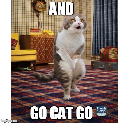 AND GO CAT GO | made w/ Imgflip meme maker
