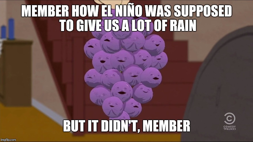 Member Berries | MEMBER HOW EL NIÑO WAS SUPPOSED TO GIVE US A LOT OF RAIN; BUT IT DIDN'T, MEMBER | image tagged in memes,member berries | made w/ Imgflip meme maker