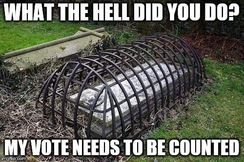 WHAT THE HELL DID YOU DO? MY VOTE NEEDS TO BE COUNTED | made w/ Imgflip meme maker